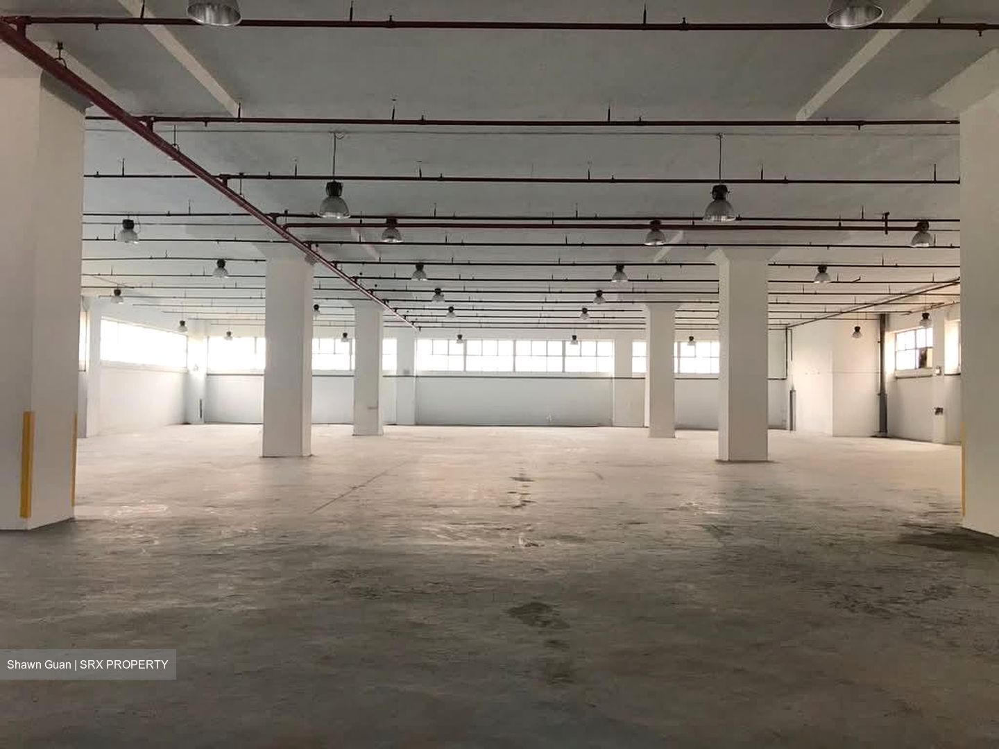 ELEMENT 14 (D19), Warehouse #576589531